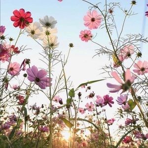 Meet your Posher, Running Wild Kids